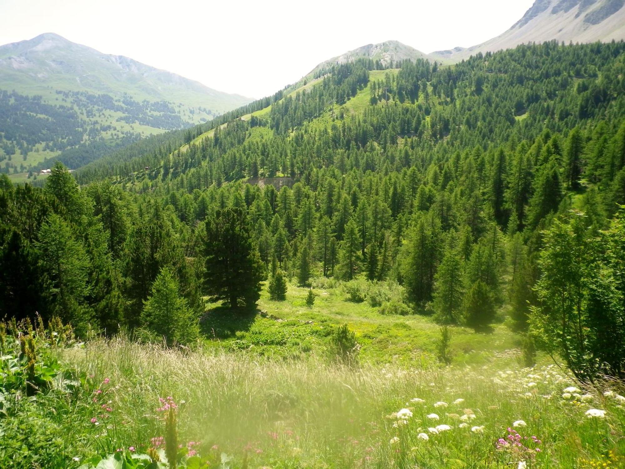 Pelvoux Ii - Vars Les Claux Vars (Hautes-Alpes)